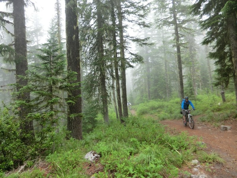 There are mountain bikers on the trail, but wide clearings allow good visibility for hikers and runners.