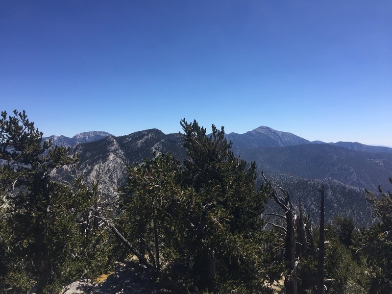 Views of Mt Charleston and the Sprong Mountains from the Peak!