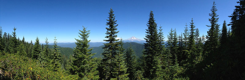 View of Mt. Hood and Mt. Adams from the old lookout at the top of Wildcat Mountain.