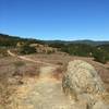 Top of the ridge on Merry-Go-Round Trail.