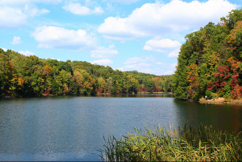 The trail runs north, on the east side of Rose Lake.