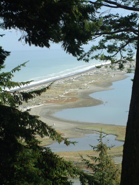 The view down to Dungeness Spit.