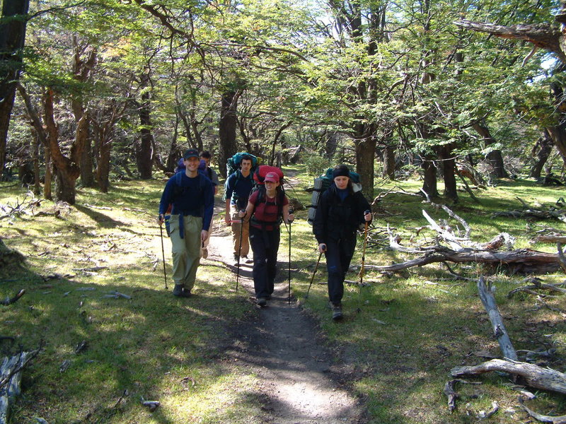 Hiking up the trail through a low forest.