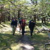 Hiking up the trail through a low forest.