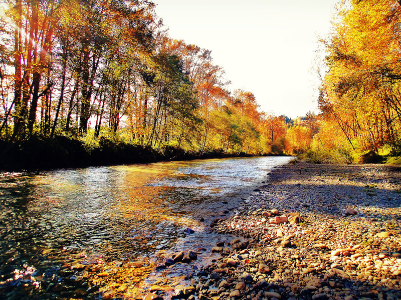 Along the creek on Snoqualmie Valley Trail North.