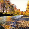 Along the creek on Snoqualmie Valley Trail North.