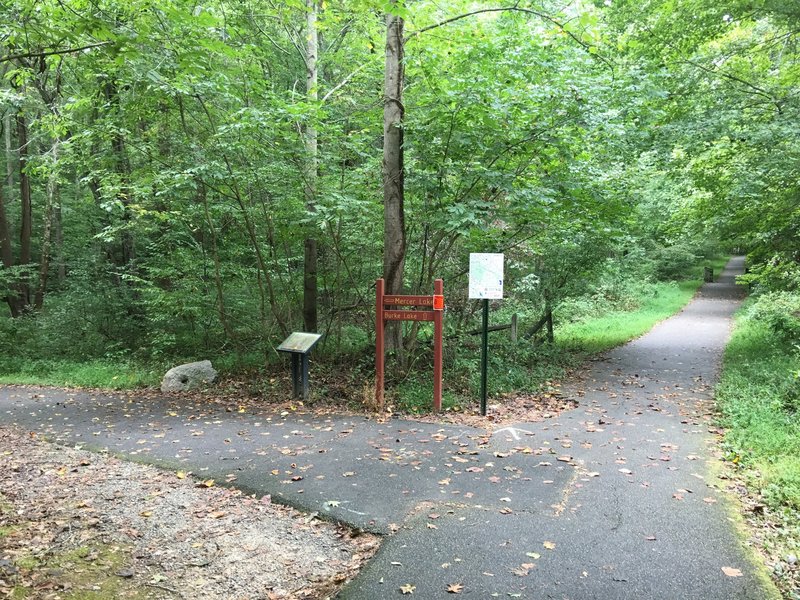 Trail intersection. Keep left towards Mercer Lake.