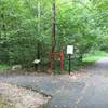 Trail intersection. Keep left towards Mercer Lake.