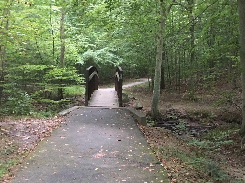 Narrow bridge for stream crossing to south side of South Run. Turn left after crossing bridge to stay on main trail.