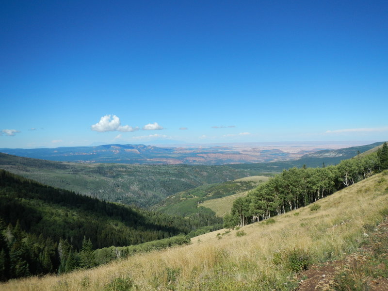 The upper part of the Robertson Pasture Trail.