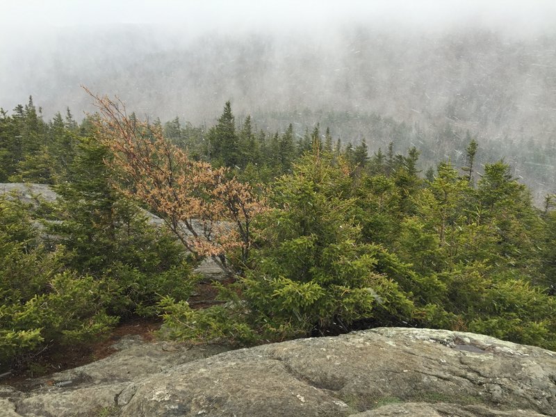 Cloudy day on top of Stowe Pinnacle.