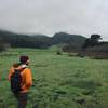 Hiking at Briones Regional Park.