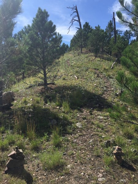 Climbing the east ascent on the Cairn Trail in Custer SP.  The cairns (rock piles) in the foreground are the trail namesake.