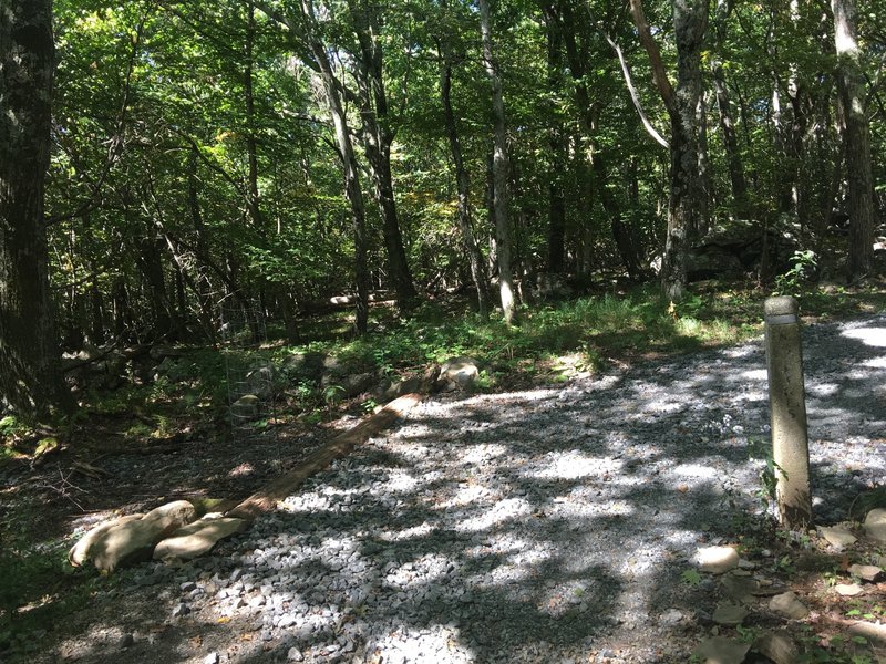 Trail Intersection:  Upper Hawksbill Trail and Hawksbill Fire Road.