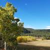 Sweeping meadows and aspens along historic grounds.