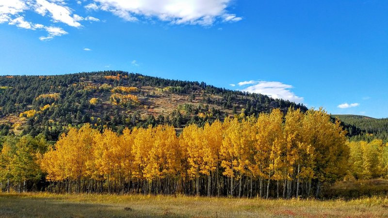 Fantastic fall colors so close to Boulder.