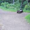 The San Andreas Fault Trail breaks off to the left and works it's way into the woods.  The bench offers a place to rest.