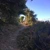 The trail as it leads to to a vista where you get great views of the bay area.