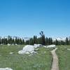 The trail with the Cathedral Range in the distance looking back toward where you came from in the spring time.