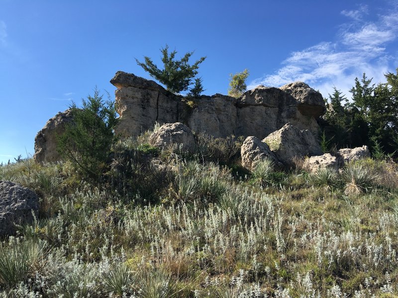 Rock formation looking up from trail.