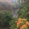 White Oak Canyon Trail.  Photo on Sep 25, 2016