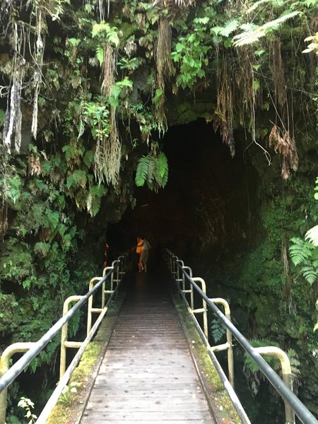 Thurston lava tube, Hawaii Volcanoes National Park.