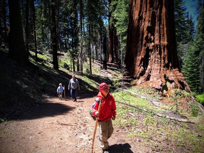 North Grove Loop hike. Stay on loop to the right to complete loop trail.