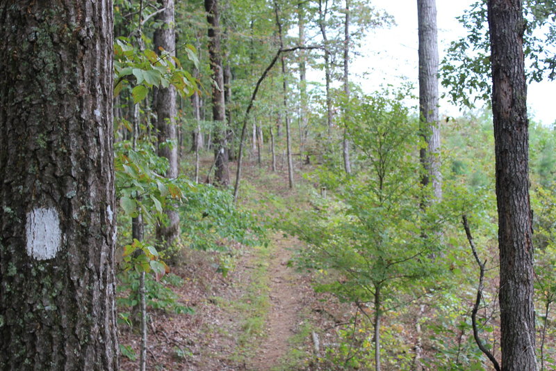 A nice trail along a ridge.