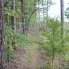 A nice trail along a ridge.