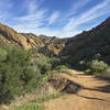 The canyon walls close in approaching The Narrows. Interesting rock formations abound in this unique stretch of trail.