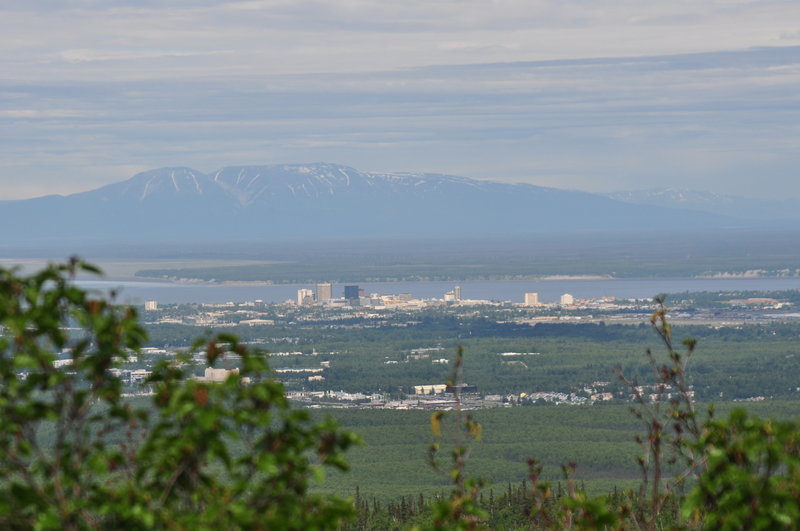 View of Anchorage as we climb above tree line.