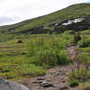 Trail as it climbs up the slope.