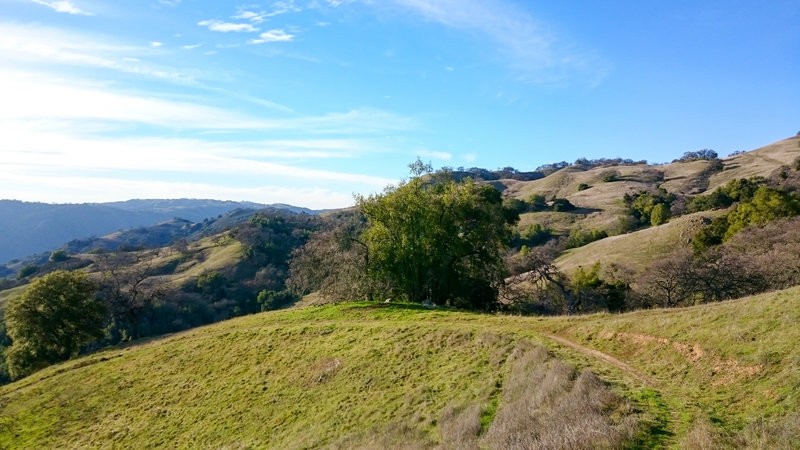 Green hillsides.