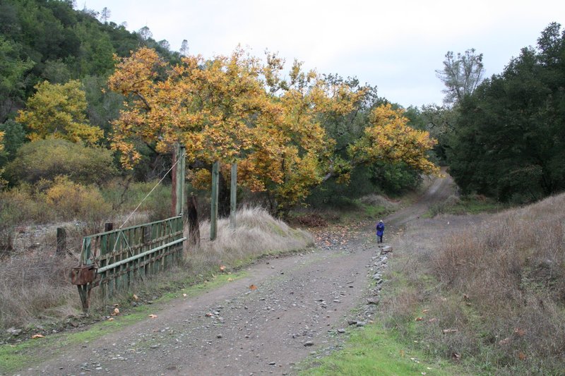 Coit Road, crossing a tributary of Coyote Creek. with permission from Edward Rooks