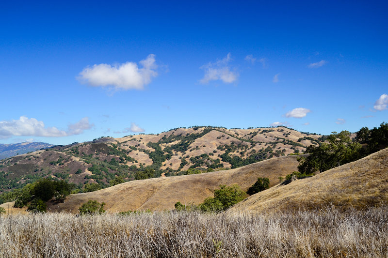 A lovely day in Henry Coe State Park.