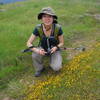 Taking a moment to take a closer look at the wildflowers.