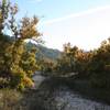 Coyote Creek. with permission from Edward Rooks