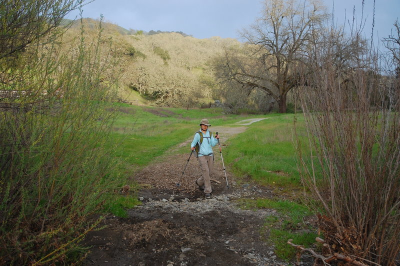 One of the creek crossings along the way.