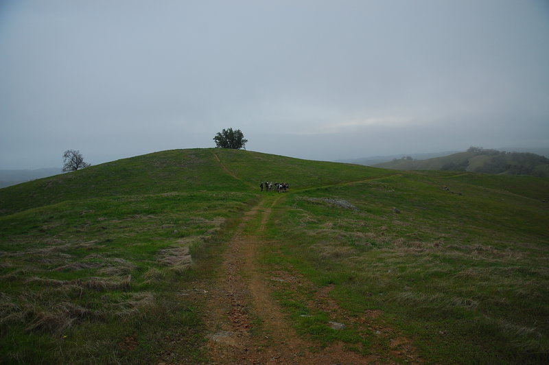 Wide open fields.