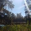 View out over Bayou Cane at the end of the trail.