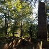 Remains of the old Sugar Mill that serve to help find the trailhead.