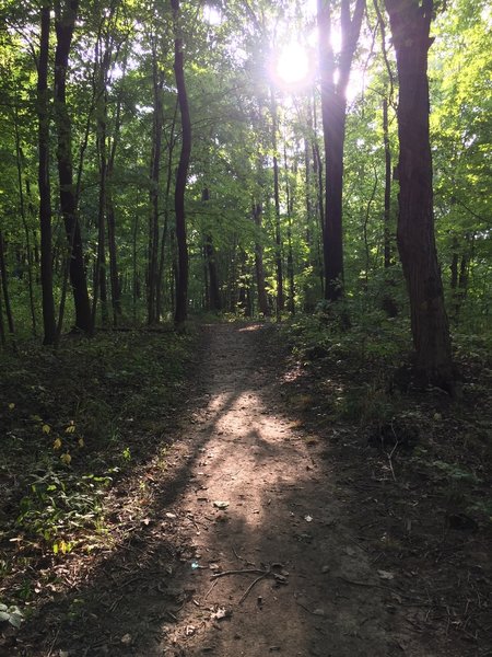 A good sample of the terrain around the 5 mile loop. This photo was taken on the Squawroot Trail.