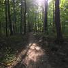 A good sample of the terrain around the 5 mile loop. This photo was taken on the Squawroot Trail.