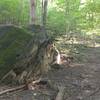 Lots of rock formations similar to this can be found around the trails.