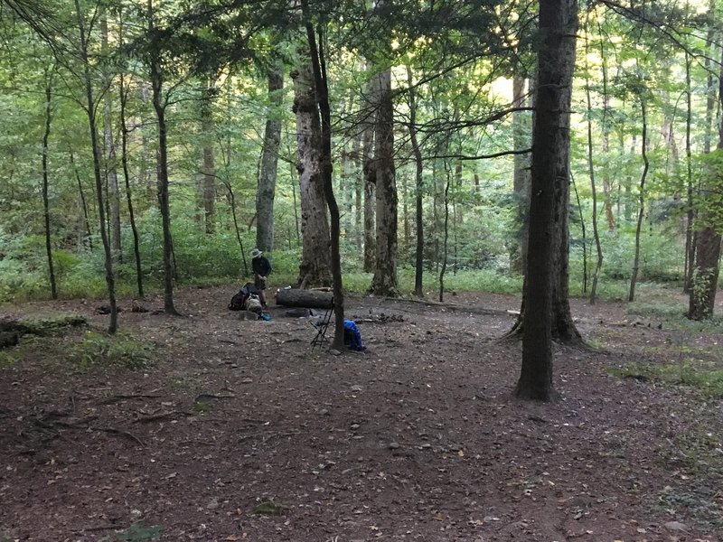 Camp 9 on Anthony Creek Trail. Good water beside campsite.