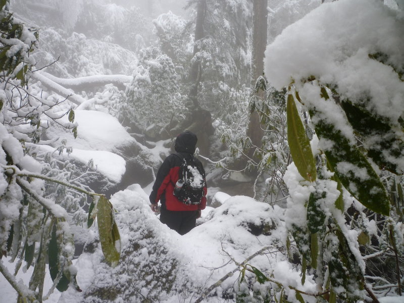 Hiking to end of Ramsey Cascade. Snow just got deeper and deeper. First on trail in March 2010.