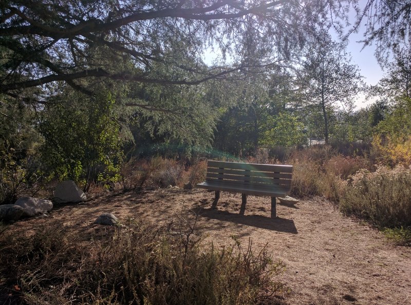 Nice bench in the shade to take a breather and hydrate.