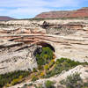 Kachina Bridge from the viewpoint.