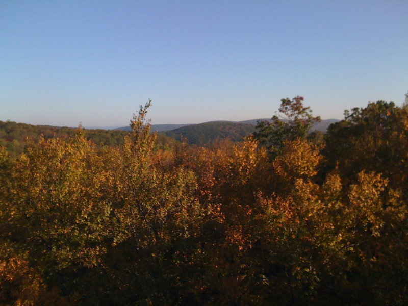 Autumn color from Cat Rock.