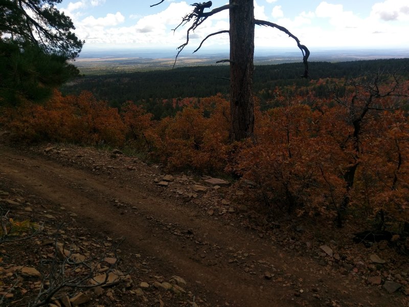 Ambling along the Wagonwheel Trail with views to the east.
